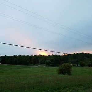 Meet your Posher, Layla